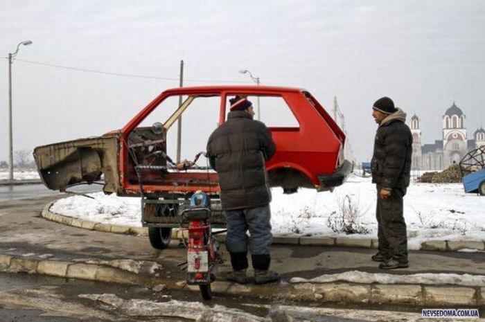 Прикольные картинки