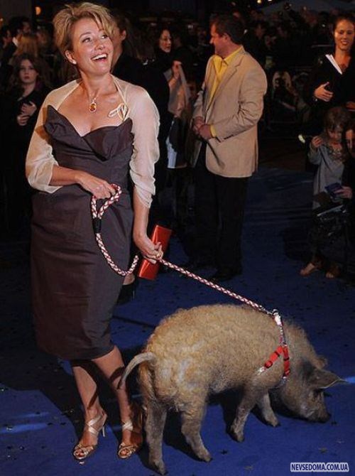 Прикольные картинки