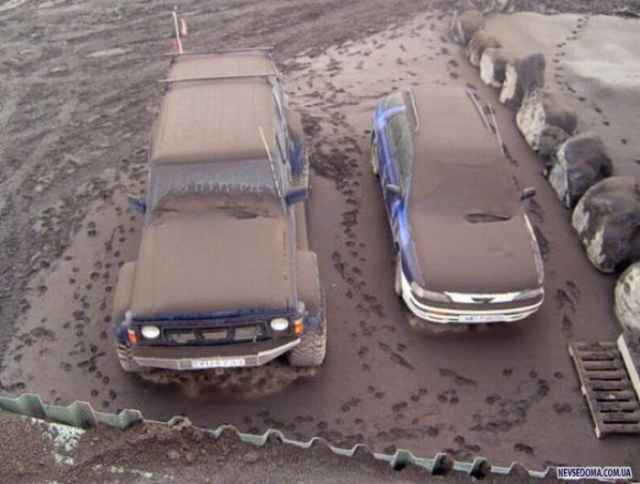 Прикольные картинки