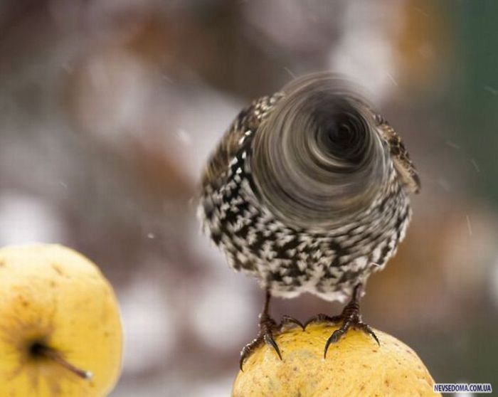 Прикольные картинки