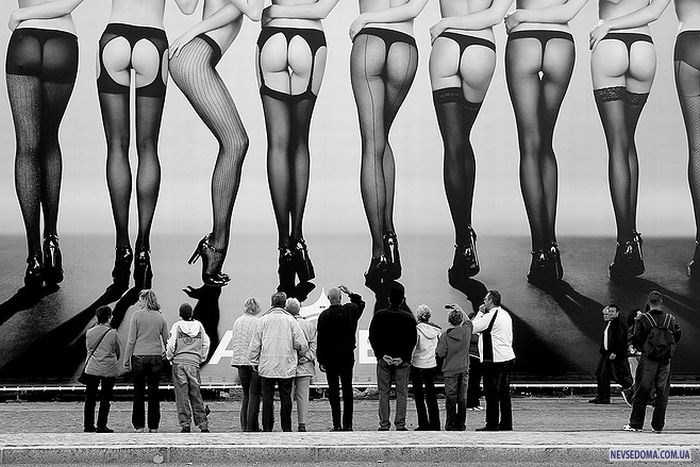 Прикольные картинки