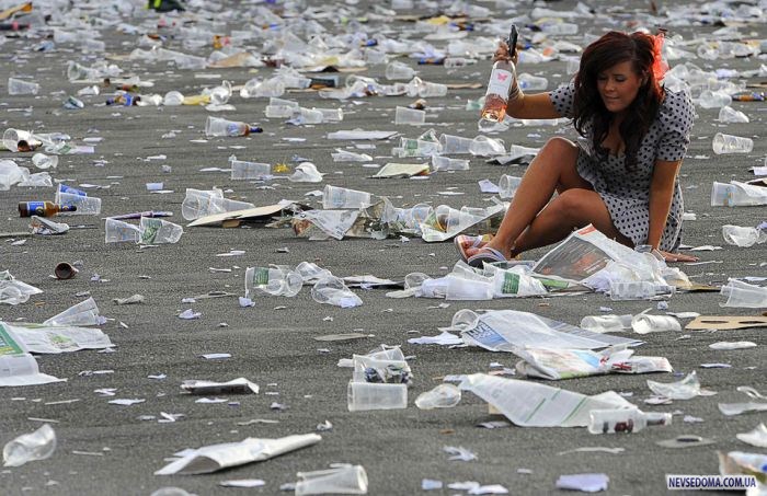 Прикольные картинки