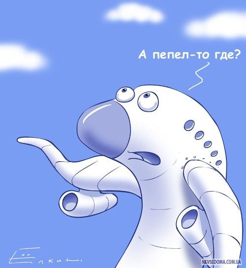 Прикольные картинки