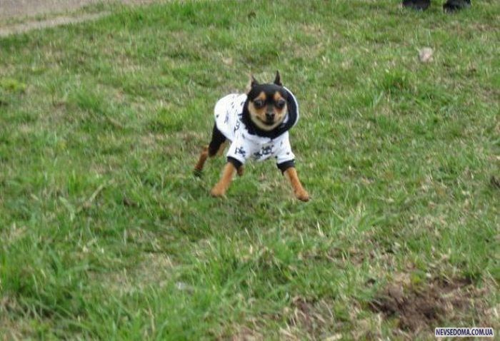 Прикольные картинки