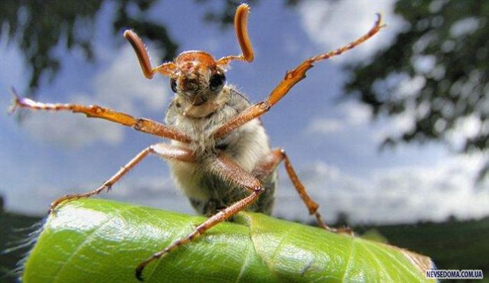 Прикольные картинки