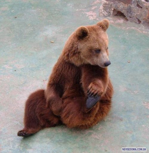 Прикольные картинки