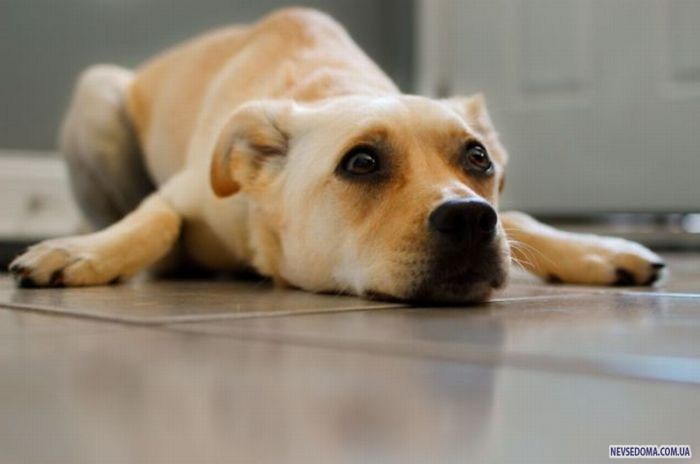 Прикольные картинки