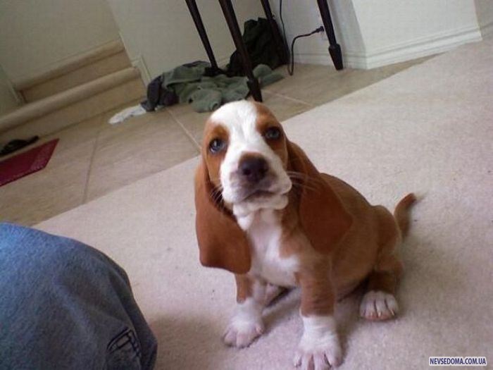 Прикольные картинки