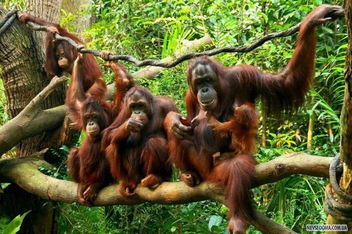 Прикольные картинки