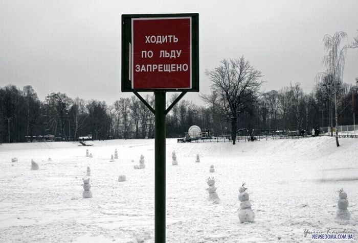 Прикольные картинки