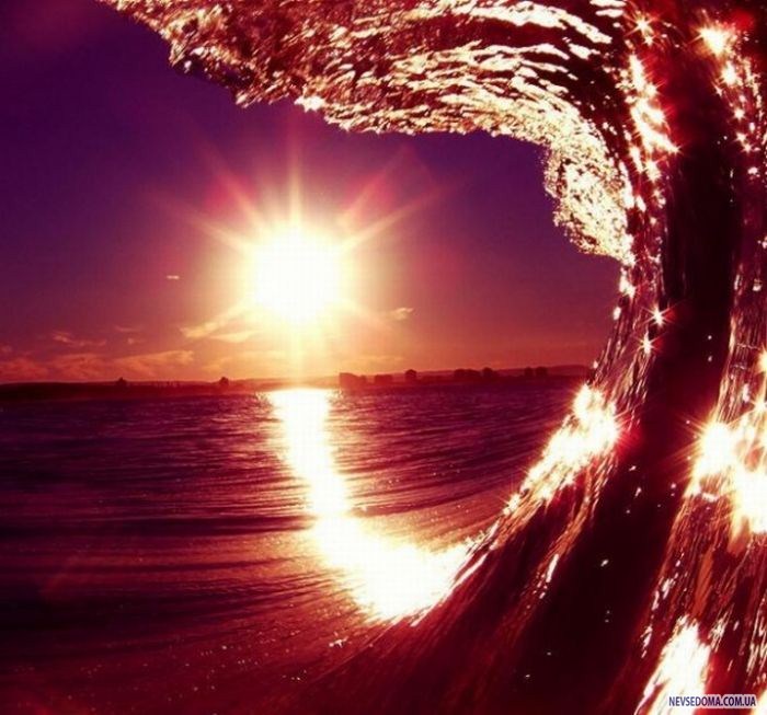 Прикольные картинки