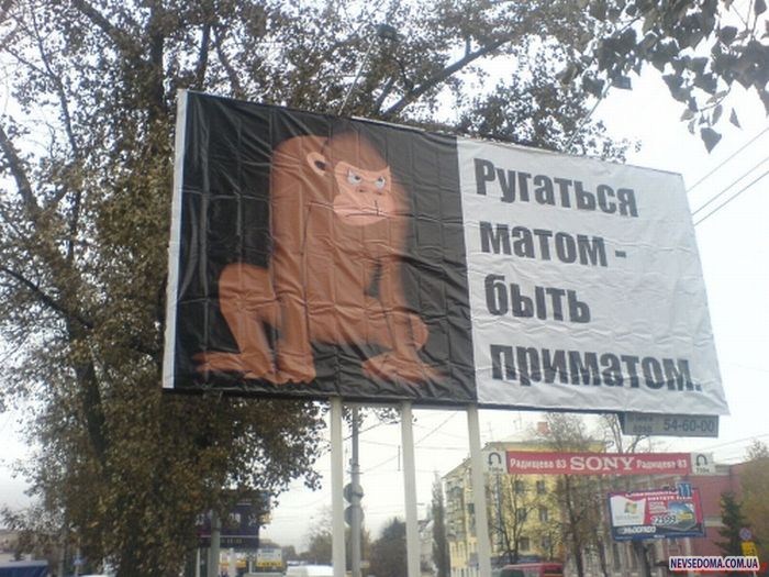 Прикольные картинки