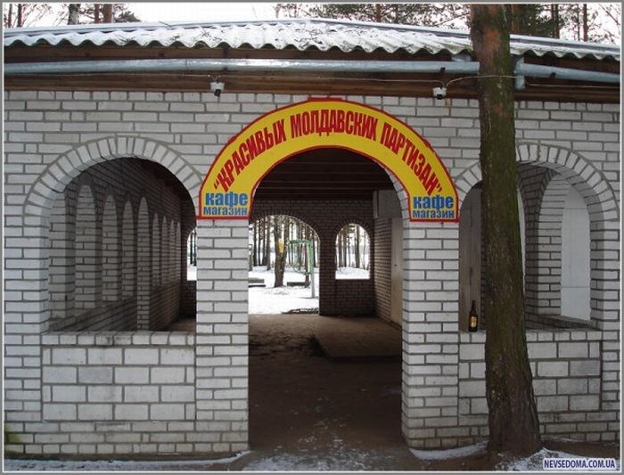 Прикольные картинки