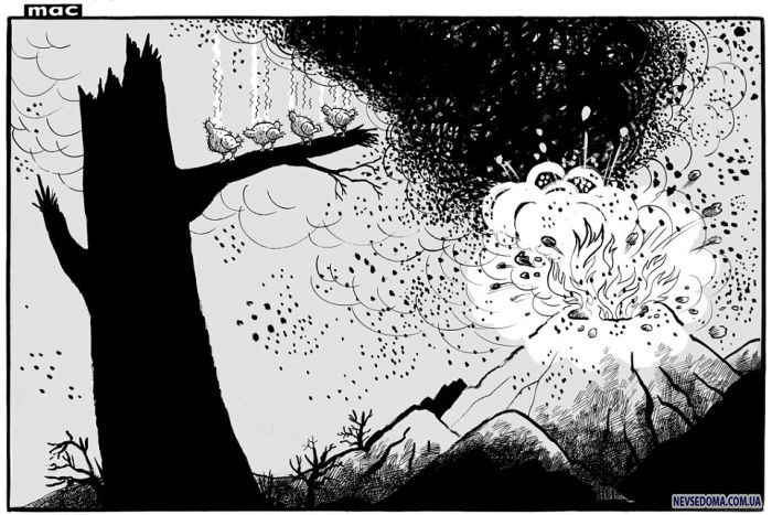 Прикольные картинки