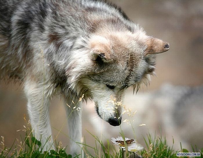 Прикольные картинки