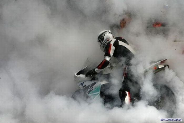 Прикольные картинки