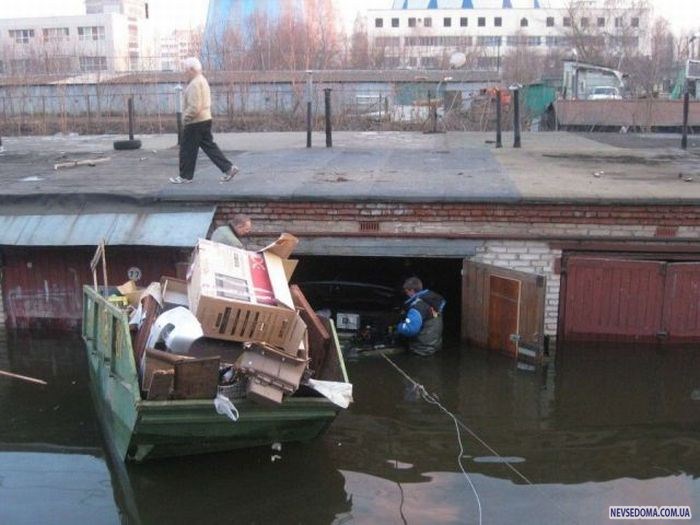 Прикольные картинки