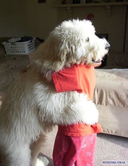 Прикольные картинки