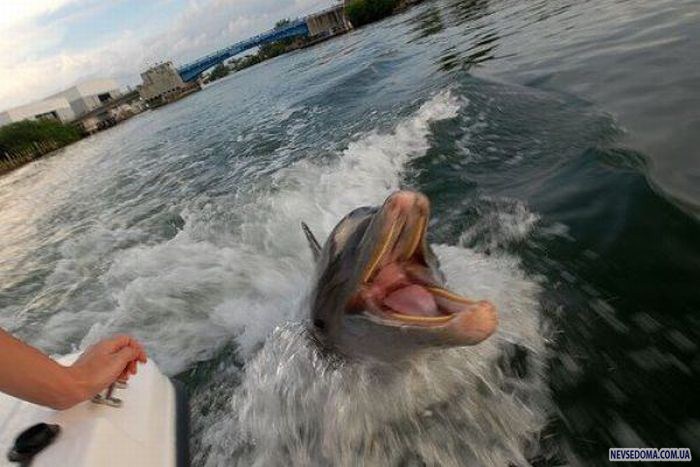 Прикольные картинки