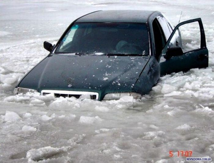 Прикольные картинки