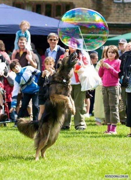 Прикольные картинки