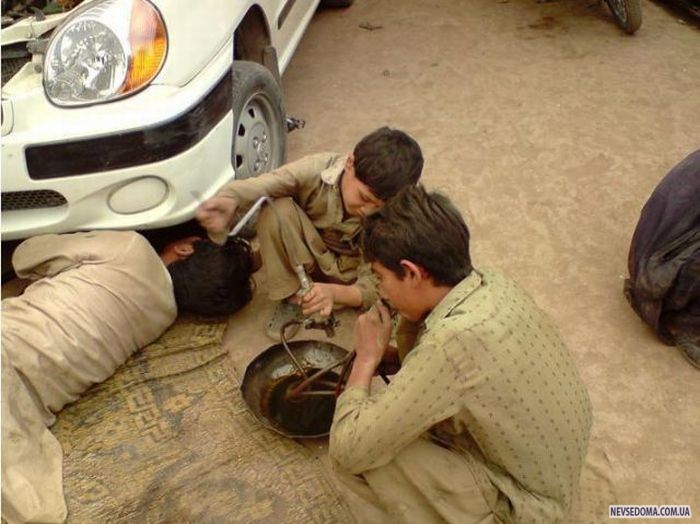 Прикольные картинки