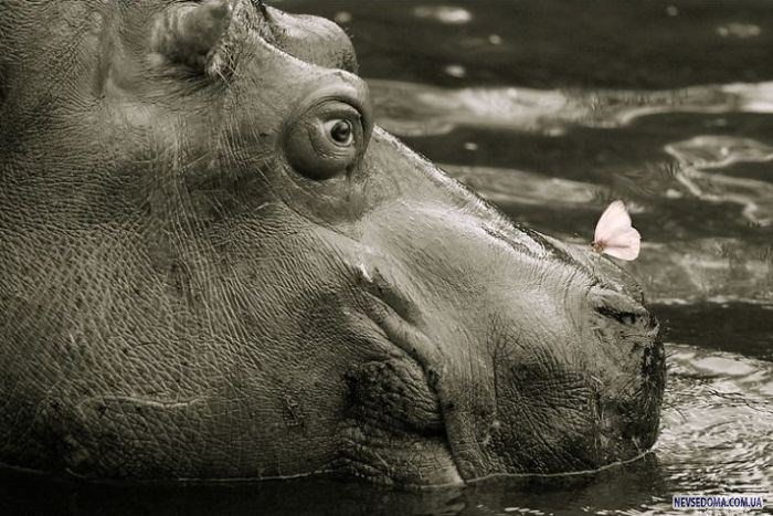 Прикольные картинки