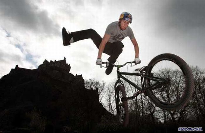 Прикольные картинки