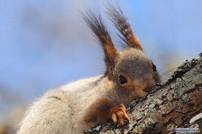 Прикольные картинки