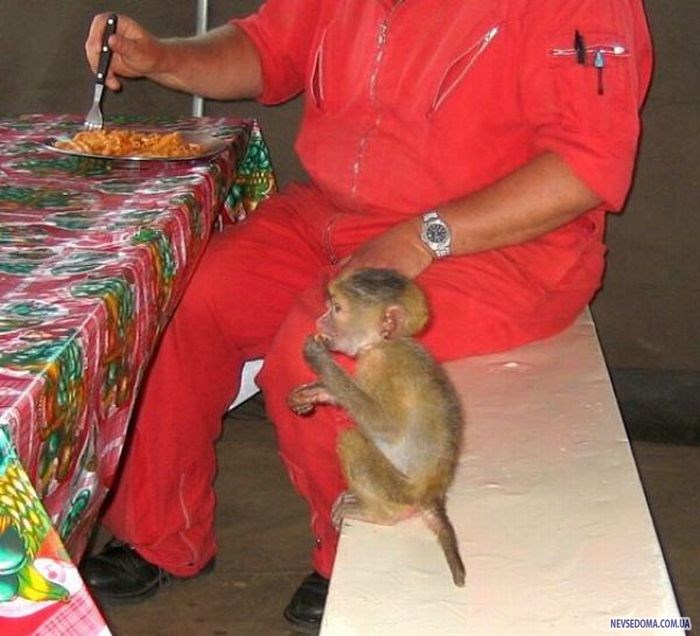 Прикольные картинки