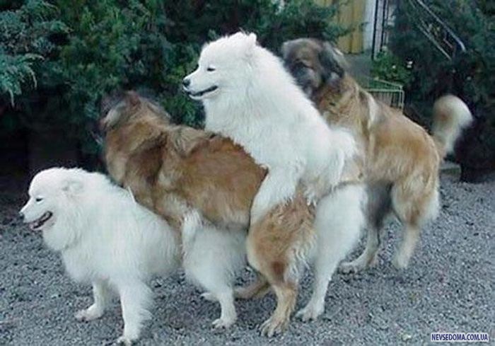 Прикольные картинки