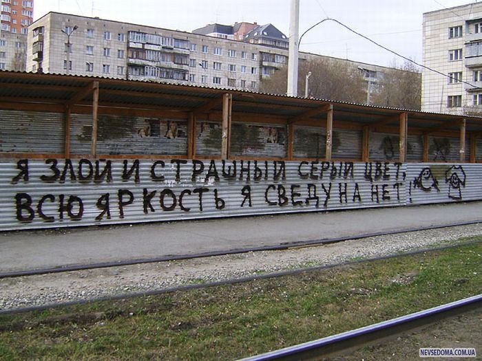 Прикольные картинки