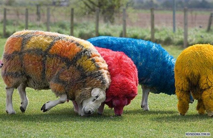 Прикольные картинки