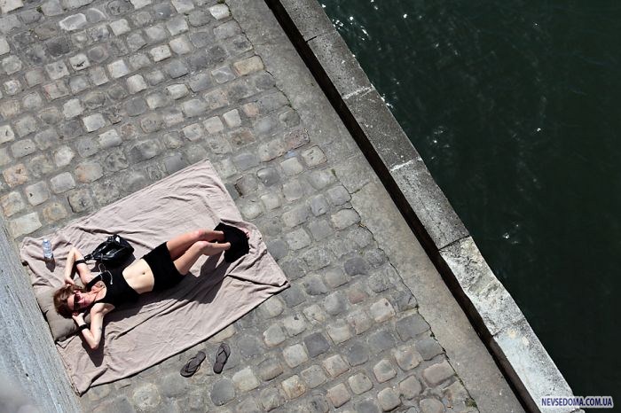 Прикольные картинки