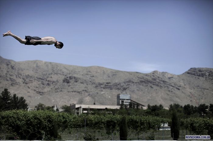 Прикольные картинки