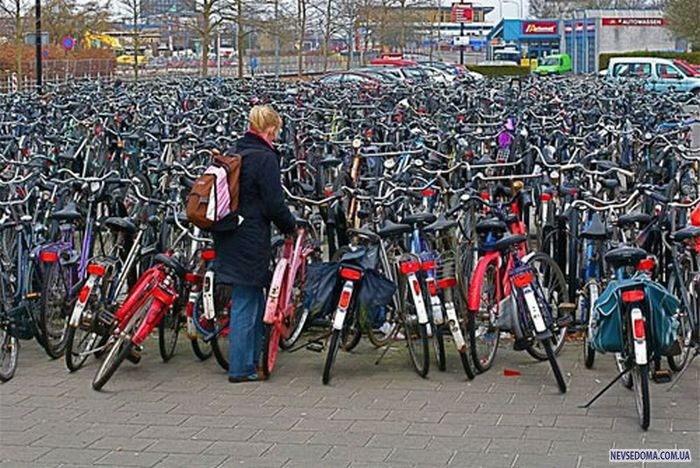 Прикольные картинки