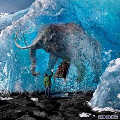 Прикольные картинки