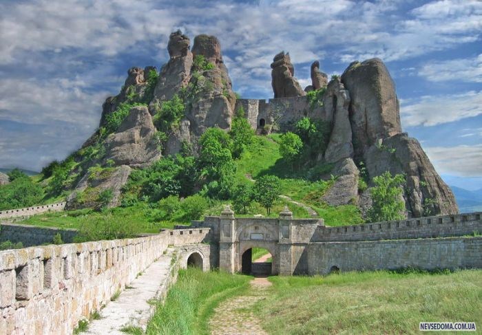 Прикольные картинки