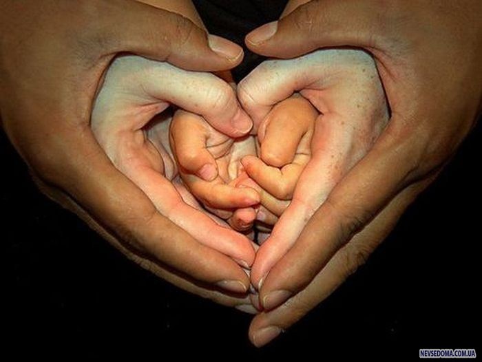 Прикольные картинки