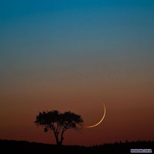 Прикольные картинки (211 фото)