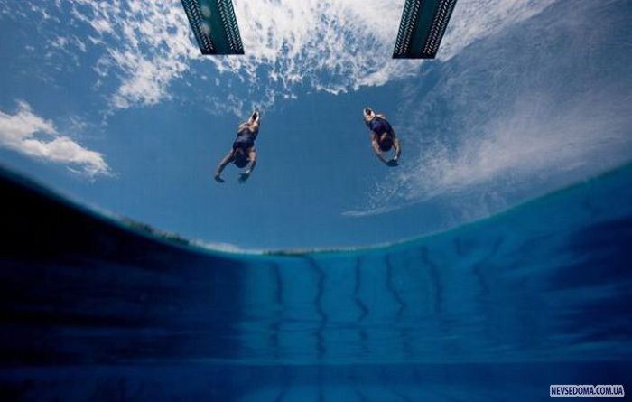 Прикольные картинки (176 фото)