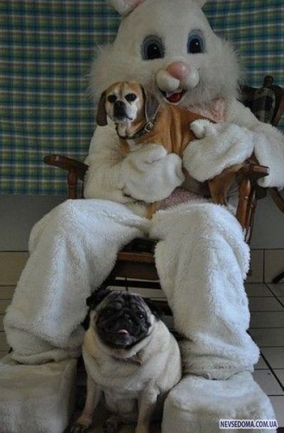 Прикольные картинки (176 фото)