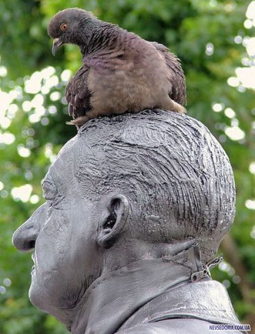 Прикольные картинки (176 фото)