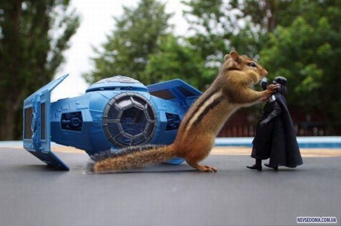 Прикольные картинки (176 фото)