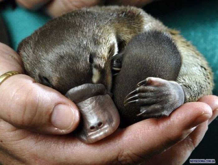 Прикольные картинки (176 фото)