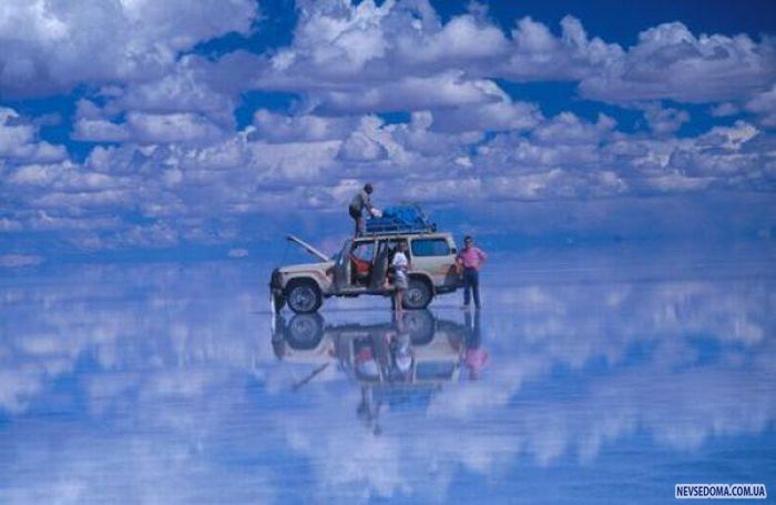 Прикольные картинки (176 фото)