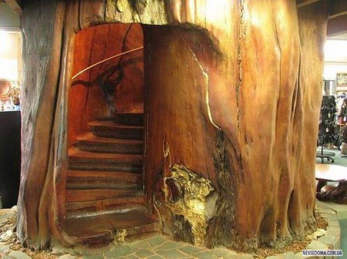 Прикольные картинки (176 фото)