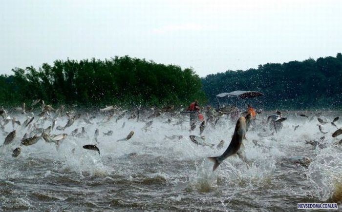 Прикольные картинки (176 фото)