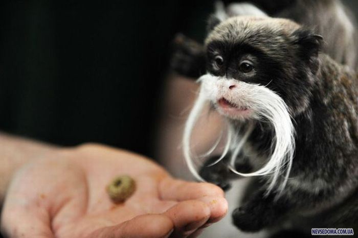 Прикольные картинки (176 фото)