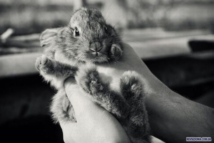 Прикольные картинки (179 фото)